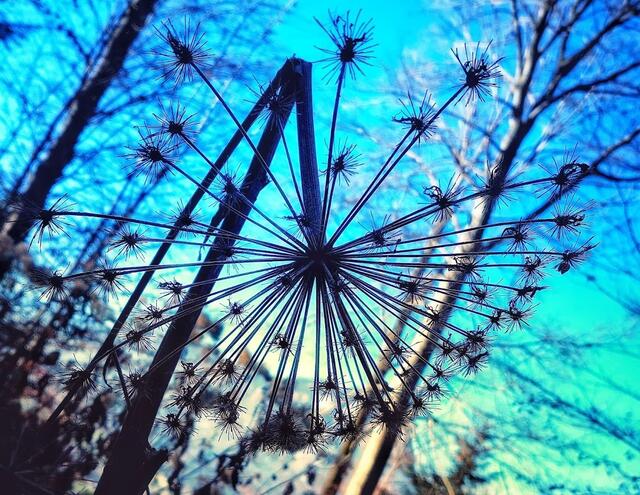 Herbst | Foto: Sabine Gattringer