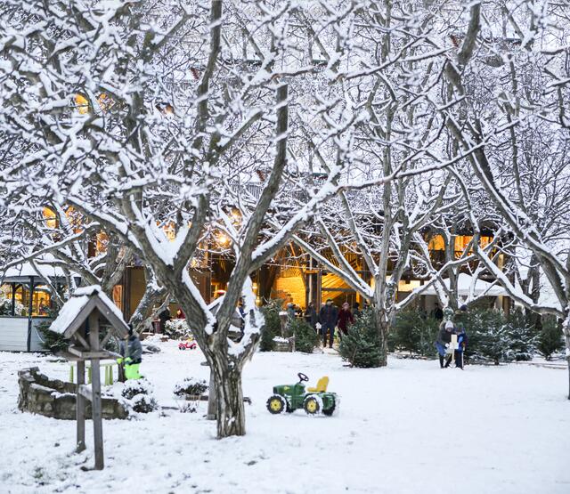 Winterwonderland im Garten des BioHofs Adamah in Glinzendorf.