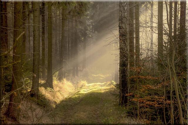 Foto: Josef Glaser