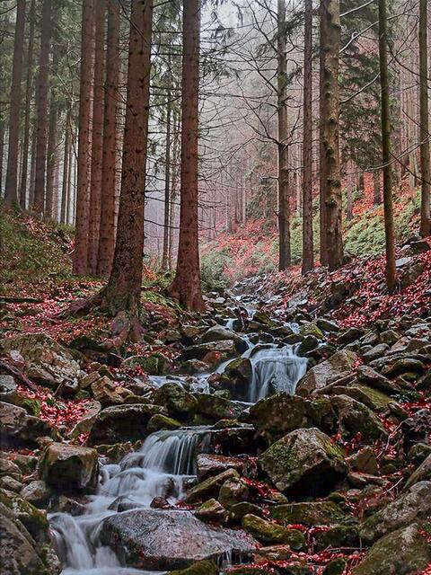 Foto: Josef Glaser