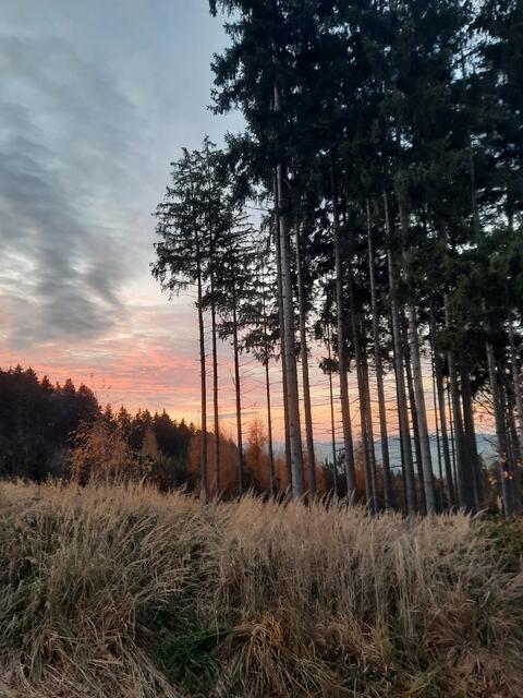 Sonnenuntergang in Kematen am Innbach