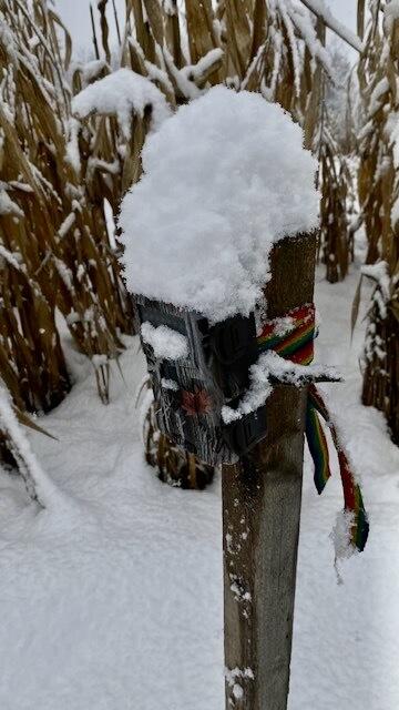 Wildkamera mit Schneehauberl