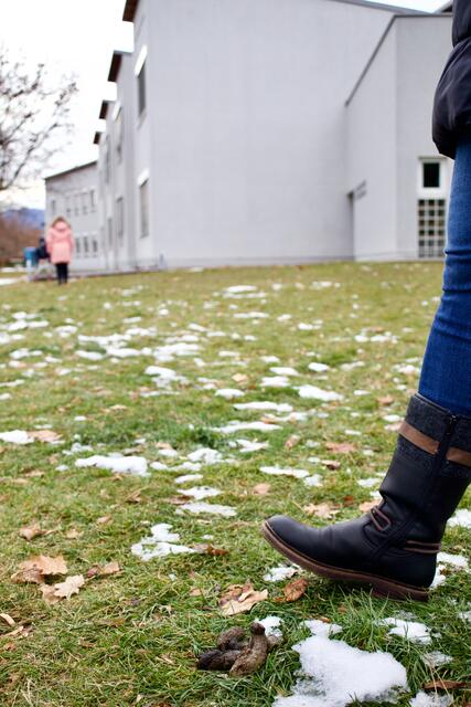 Hundewürstel vor der Volksschule Kreuzäckergasse – ein nerviges Problem.