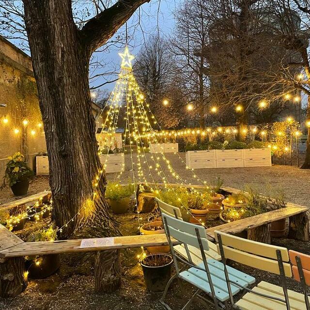 Der Augarten erstrahlt bereits in weihnachtlichem Glanz. Dies zeigen die herrlichen Aufnahmen von bz-Leserreporterin Agathe Bauer. Schick uns auch deine Fotos aus dem 20. Bezirk!