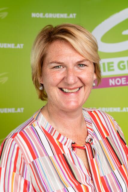 Helga Krismer-Huber, Grüne