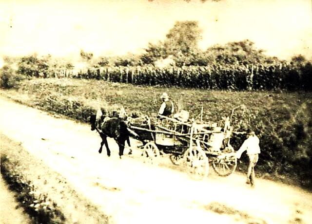 So fuhr man 1955 zur Weinlese.