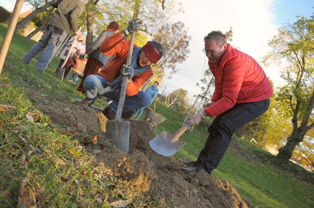 Bei der Pflanzung der "Obastoase Strebersdorf".
(Foto wurde vor dem Lockdown aufgenommen) | Foto: BV21