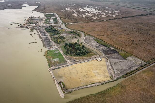 Foto: Greenpeace