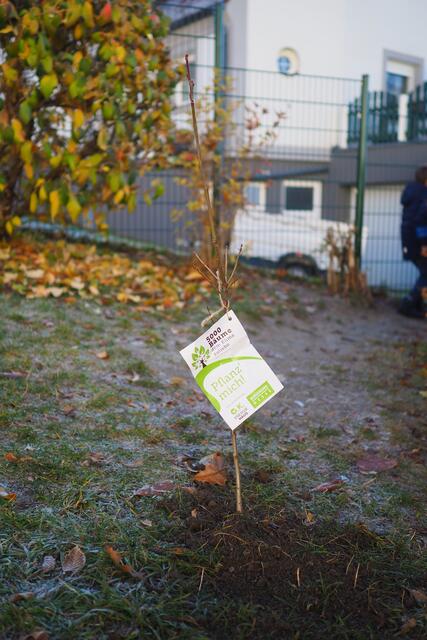 Die Kinder der Volksschule Sigleß werden sich künftig um ihre selbst gepflanzten Bäume kümmern.
