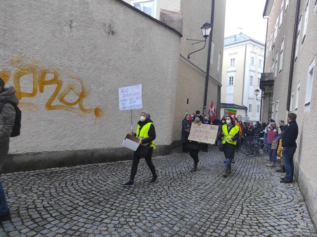 Mit Schildern machen die Demonstranten in Salzburg ihrem Ärger Luft. | Foto: Johanna Janisch