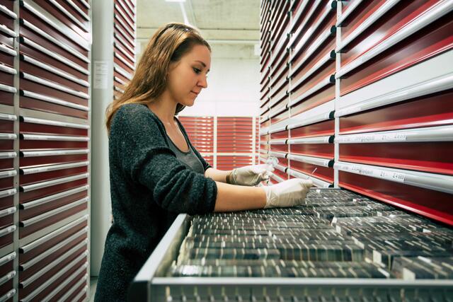 Die Biobank verwahrt humane Proben sicher und ethisch korrekt.  | Foto: Med Uni Graz