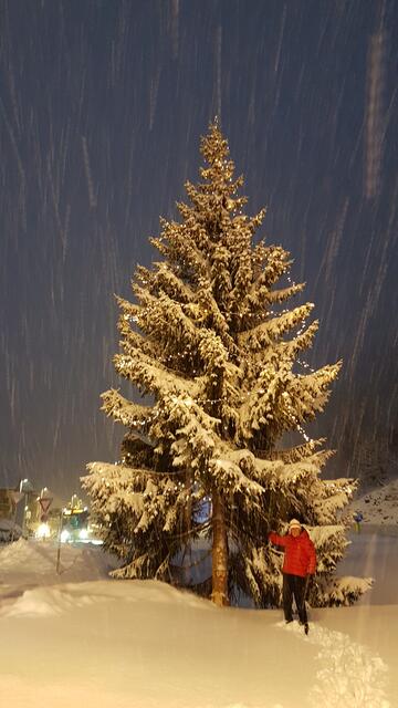 Ferdl Nöbl vor seinem "spendierten Christbaum", der nun im Kreisverkehr am Terminal West in St. Anton am Arlberg zu bestaunen ist.  | Foto: Katharina Nöbl 