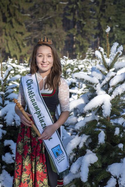 Ein Unikat: Das Dirndl der Christbaum-Prinzessin Martina Strohmeier ist eine Sonderanfertigung. Das Kleid ist in den Farben Dunkelgrün und Rot gehalten. Die Schürze besticht mit roten Weihnachtssternen und Reisigzweigen. | Foto: Suppan