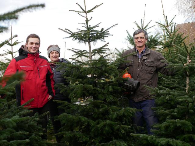In Thalheim bei Wels verkauft die Familie Holzinger jedes Jahr Christbäume. Georg Martin, Martina und Georg (v.l). | Foto: BRS/Jakaubek