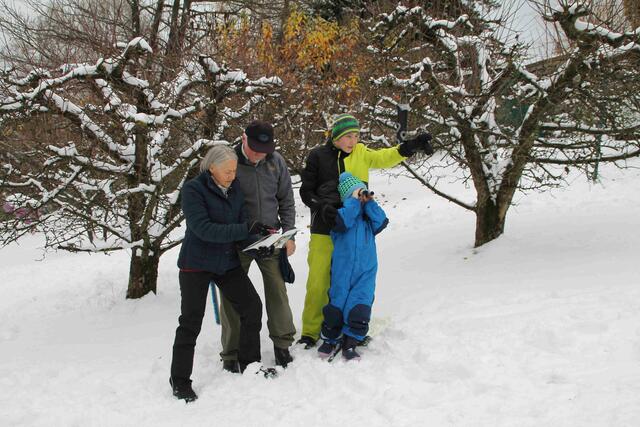 Wintergäste am Vogelhaus zählen und das Ergebnis BirdLife für Forschungszwecke übermitteln.
