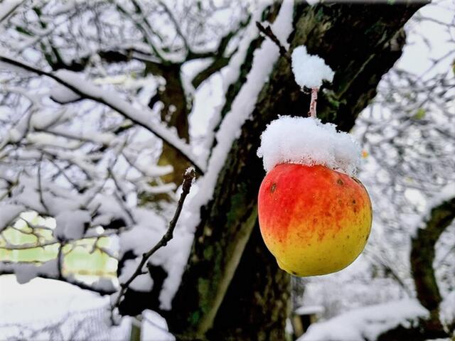 Foto: Josef Glaser