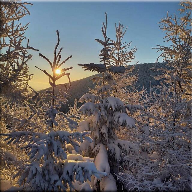 Foto: Josef Glaser