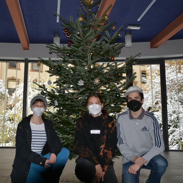 Die SchülervertreterInnen des ORG Zams schmückten mit der Unterstützung vom Mutterhaus Zams den Christbaum.