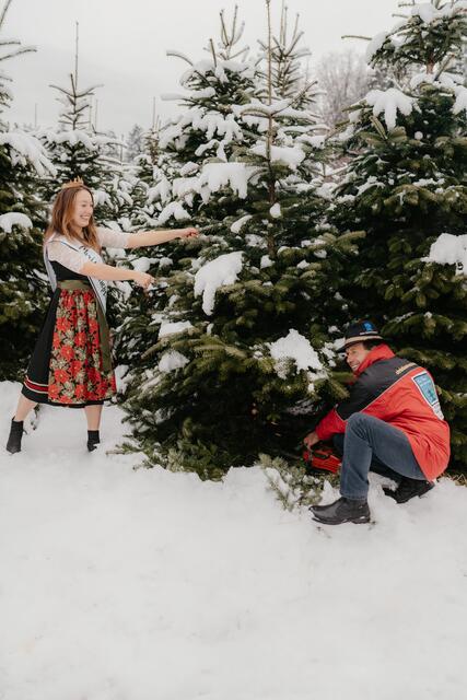 So lustig geht es bei den Strohmeiers in Stainz beim Christbaum-Schneiden zu: Christbaumprinzessin Martina mit ihrem Papa Andreas. | Foto: Tamara Dorfinger 