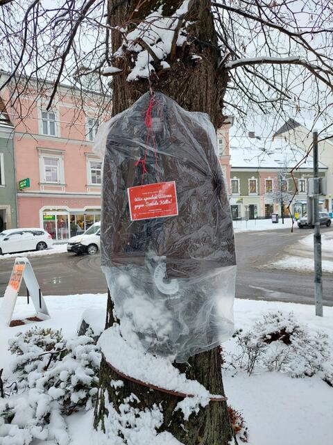Durch die Winterchallenge werden in der kalten Jahreszeit wärmende Kleidung für Menschen in Not zur Verfügung gestellt und an Bäumen aufgehängt. | Foto: JG Obersteiermark West