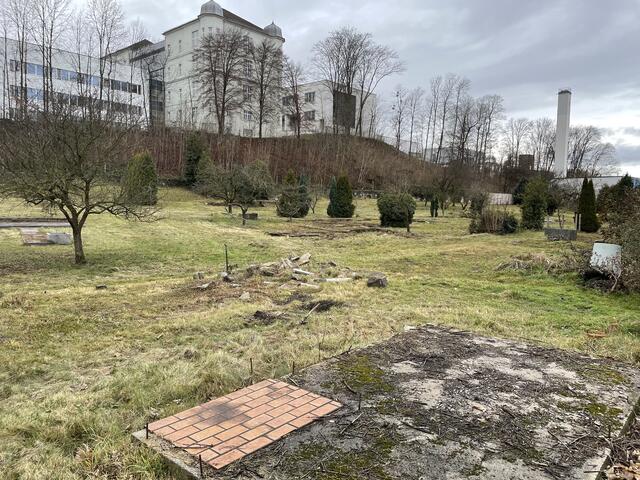 Hier soll die Wohnsiedlung entstehen. | Foto: BRS/Diabl