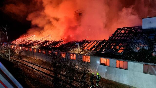 Foto: BFKDO/ Wolfgang Zarl