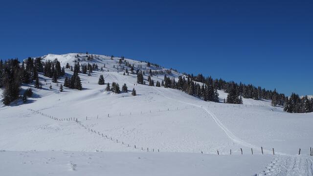 Der Unfall passierte auf der Frauenalpe. | Foto: Schnedl
