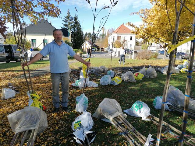 Foto: Wieseninitiative