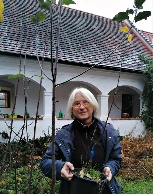 Foto: Wieseninitiative