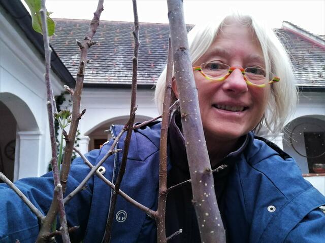 Brigitte Gerger von der Wieseninitiative steckt hinter der Baumpaten-Aktion. | Foto: Wieseninitiative