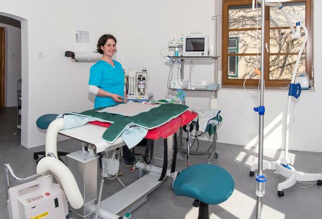 Tierärztin Laura Rebuzzi: "Kinder können je nach ihrem Charakter unterschiedlich früh eine Teilverantwortung für ein Tier übernehmen. Fakt ist, dass immer die Eltern die Verantwortung für das Tier tragen." | Foto: zur Verfügung gestellt