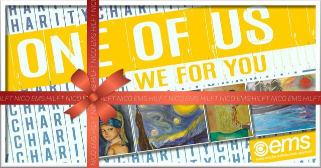 Die Schüler unterstützen mit ihrem Projekt den querschnittsgelähmten Nico. | Foto: EMS Oberwart