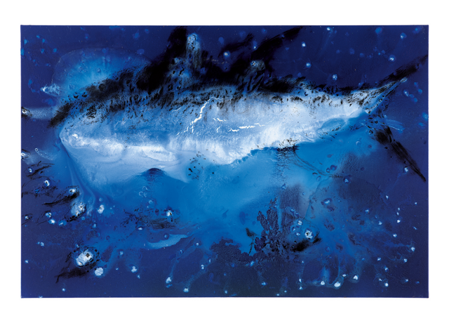 Kunst in der alten Feuerwehrhalle Miquel Barceló stellt in Seefeld aus