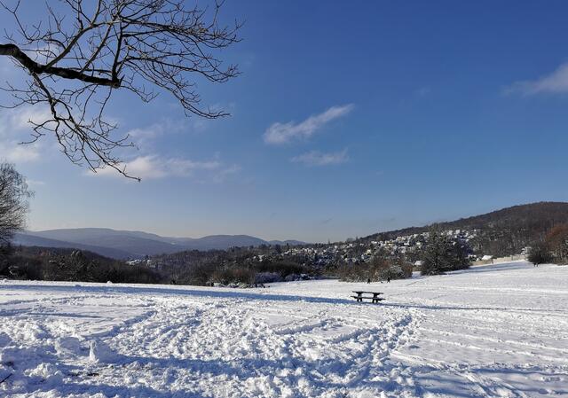 Viele Spuren im Schnee