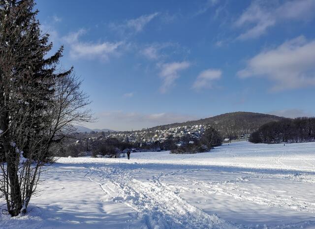 Weite Sicht zu den Häusern im 14. Bezirk