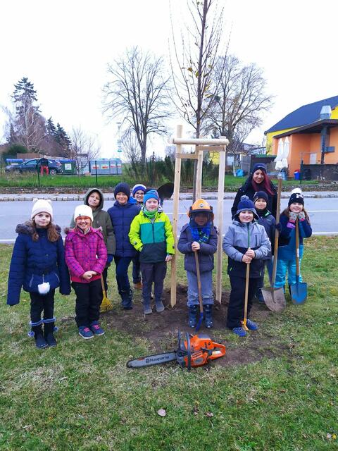 Die Kinder der schulischen Nachmittagsbetreuung pflanzen einen Baum. | Foto: Gemeinde Petronell-Carnuntum 