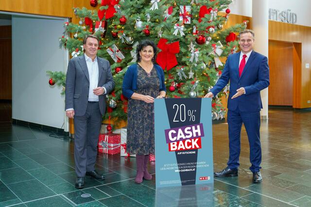 Wirtschaftskammer NÖ-Präsident Wolfgang Ecker, Christine Schreiner (Landesinnungsmeisterin der Fußpfleger, Kosmetiker und Masseure NÖ) und Gert Zaunbauer (Obmann der Freizeit- und Sportbetriebe NÖ) freuen sich, dass mit der Gutschein-„Cashback-Aktion“ der Wirtschaftskammer ein weiterer Impuls für die regionale Wirtschaft gesetzt wird. | Foto: Josef Bollwein