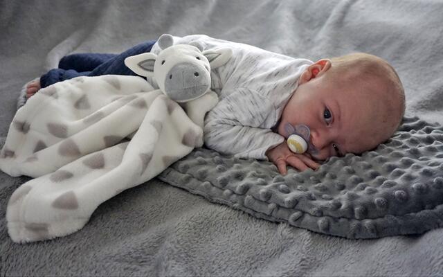 Lukas
Geburt: 3. November
53 cm, 3.680 g
Jasmin und Dominik Lampel aus Lebring | Foto: Privat