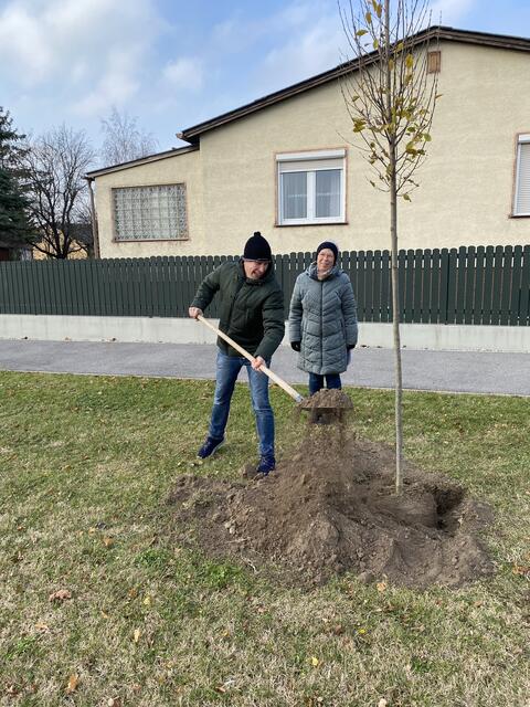 Christian Lesch hat eine Baumpatenschaft zum Geburtstag bekommen. | Foto: Gemeinde Petronell-Carnuntum 