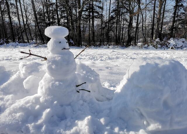 Danke für die Lieben, die diesen Schneemann auf einer Bank gebaut hatten.