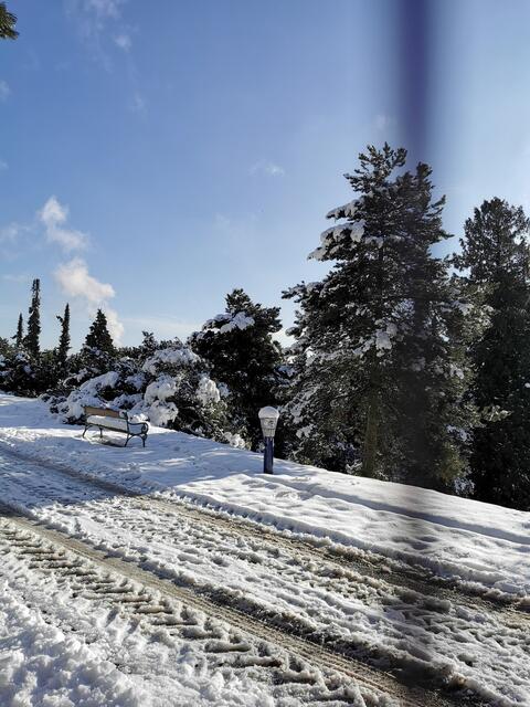 Durch das Absperrgitter fotografiert.