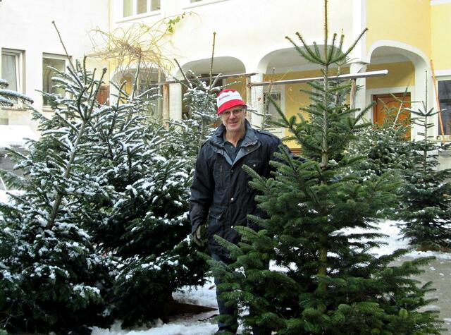 Christbaumbauer Hubert Haas