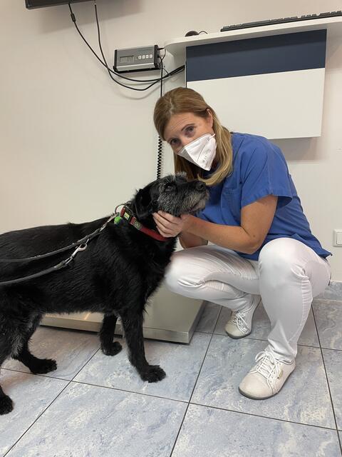 Andrea Radlherr mit Gina, einem ihrer Schützlinge | Foto: Foto: Daniela Piccardi