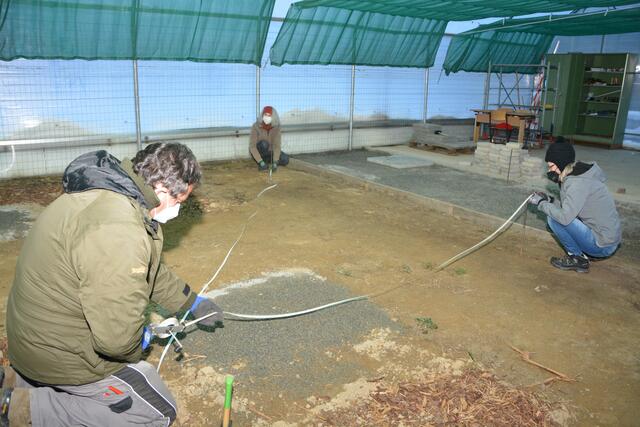 Ab ins Beet: Auch Garten- und Landschaftsbau ist ein Schwerpunkt in der Ausbildung zum Gärtner.