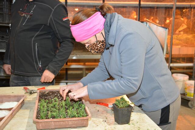 29 Teilnehmer:innen absolvieren aktuell an der Gartenbauschule Großwiflersdorf den berufsbegleitenden Lehrgang zum Gärtner.
