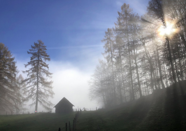 Wanderung auf Gumsenkogel und Bauernkogel im Almtal. | Foto: die2nomaden