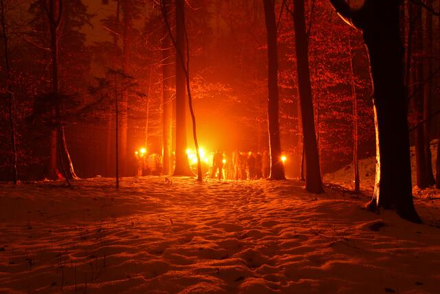 Waldweihnacht der Pfadfinder Don Bosco Amstetten | Foto: Roland Stadler Pfadfinder Don Bosco Amstetten