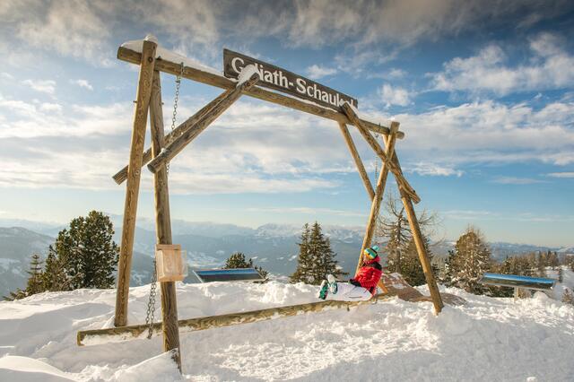 Am höchsten und aussichtsreichsten Punkt der Fageralm, auf 1.885 Metern Seehöhe, befindet sich die Goliath-Schaukel. | Foto: Reiteralm Bergbahnen/lorenzmasser.com