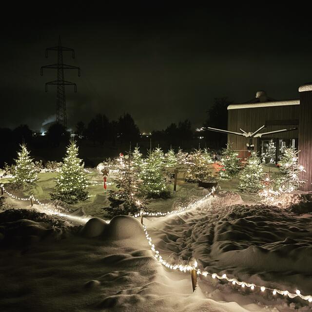 Mit dem eigenen Christbaumschmuck kann geschmückt werden. | Foto: Thomas Unterberger