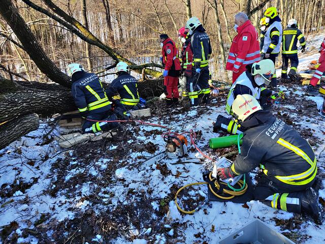 Die Stadtfeuerwehr Pinkafeld und das Rote Kreuz waren im Einsatz, um den verletzten Forstarbeiter zu bergen. | Foto: Stadtfeuerwehr Pinkafeld